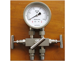 镇江差压表带三阀组